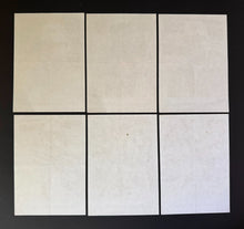 Load image into Gallery viewer, 47454044