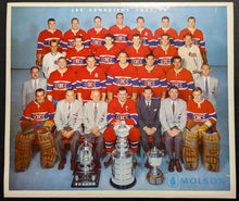 Load image into Gallery viewer, 43760317