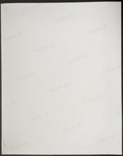 Load image into Gallery viewer, 45057077