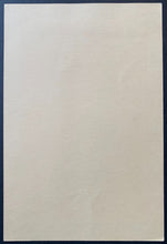 Load image into Gallery viewer, 45221374