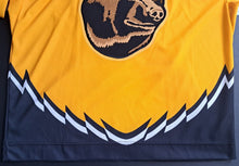 Load image into Gallery viewer, 1995-96 Dave Reid Pooh Bear Boston Bruins Alternate CCM Customized Jersey NHL