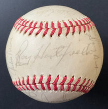 Load image into Gallery viewer, 43943719