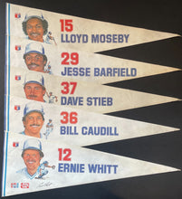 Load image into Gallery viewer, 45350250