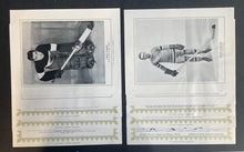 Load image into Gallery viewer, 47440784