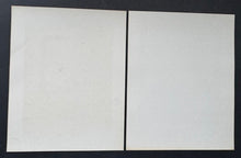 Load image into Gallery viewer, 44885705