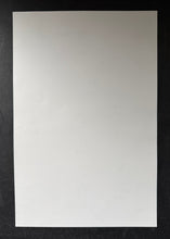 Load image into Gallery viewer, 47301494