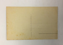 Load image into Gallery viewer, 47750044