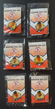 Load image into Gallery viewer, 2004 MLB World Series Champion Boston Red Sox Boston Globe Pin Collection x25