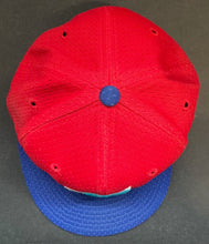 Load image into Gallery viewer, 45172679