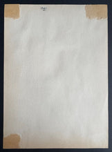 Load image into Gallery viewer, 43760330