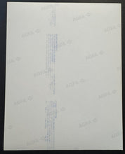 Load image into Gallery viewer, 43690065