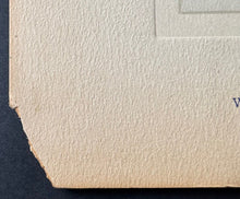 Load image into Gallery viewer, 44279962