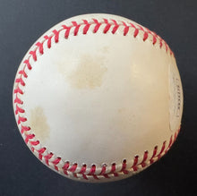 Load image into Gallery viewer, 44062030