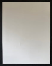 Load image into Gallery viewer, 47040096