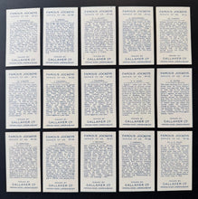 Load image into Gallery viewer, 44062036