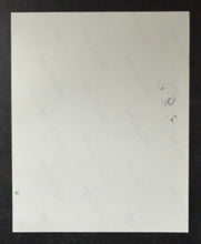 Load image into Gallery viewer, 47159635