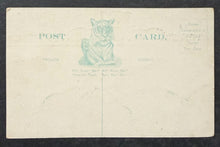 Load image into Gallery viewer, 46353956