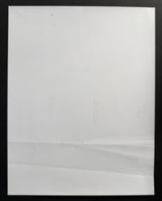 Load image into Gallery viewer, 47844945