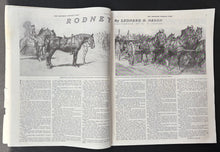 Load image into Gallery viewer, 47556819