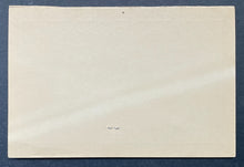 Load image into Gallery viewer, 45507764