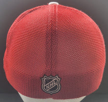 Load image into Gallery viewer, 43884788