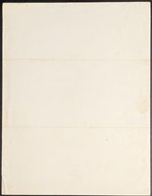 Load image into Gallery viewer, 44541324