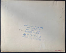 Load image into Gallery viewer, 45234710