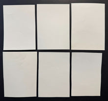 Load image into Gallery viewer, 43748489