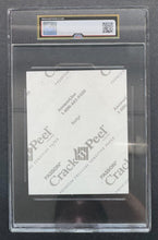 Load image into Gallery viewer, 45163836