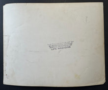 Load image into Gallery viewer, 44096582