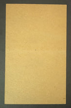 Load image into Gallery viewer, 45412450