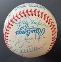 Load image into Gallery viewer, 43943710