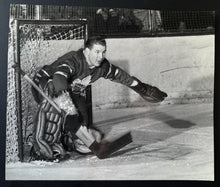 Load image into Gallery viewer, 44299534