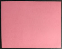 Load image into Gallery viewer, 1981 Police Concert Ticket + Staff Parking Pass Iggy Pop The Go Gos The Grove