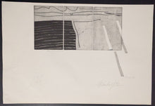 Load image into Gallery viewer, 44096605