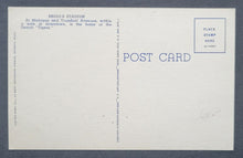Load image into Gallery viewer, 43814283