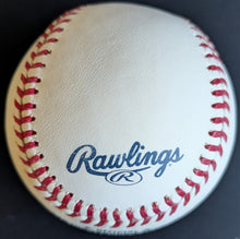 Load image into Gallery viewer, 44359415