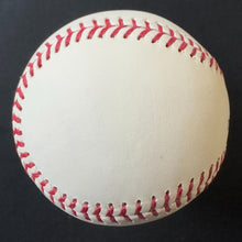 Load image into Gallery viewer, 43854243