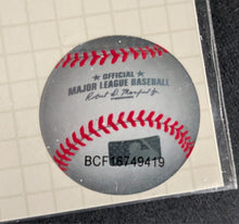 Load image into Gallery viewer, 44062034