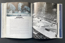 Load image into Gallery viewer, 46379240