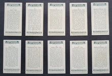 Load image into Gallery viewer, 43814364