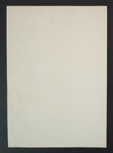 Load image into Gallery viewer, 45412398