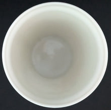 Load image into Gallery viewer, 1967 Bobby Rousseau Plastic Tumbler Cup Steinberg Store Promotional Issued NHL