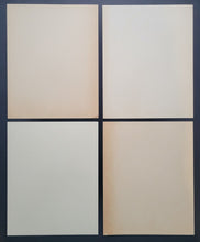 Load image into Gallery viewer, 43876579