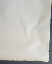 Load image into Gallery viewer, 43766205