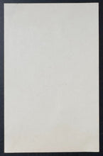 Load image into Gallery viewer, 43814281