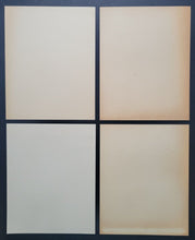 Load image into Gallery viewer, 43876579