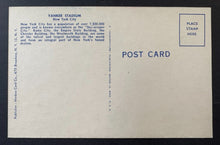 Load image into Gallery viewer, 43814321