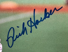 Load image into Gallery viewer, 44462802