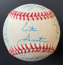 Load image into Gallery viewer, 43943710